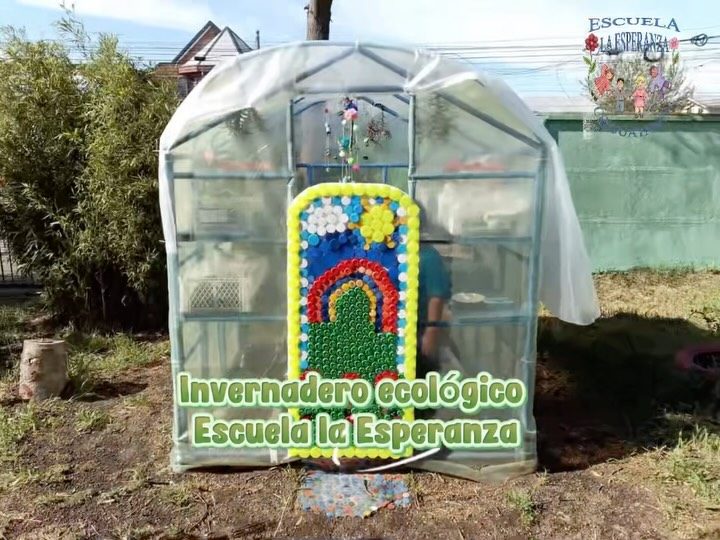 Video: 🌱🌎 ¡PEQUEÑAS MANOS, GRANDES CAMBIOS! 🌿💚 Con mucha alegría y orgullo queremos compartir con nuestra comunidad educativa e…